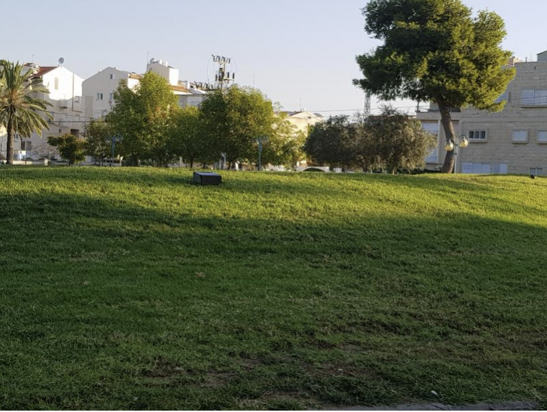 קופסה המדמה את העורב באזור התצפית