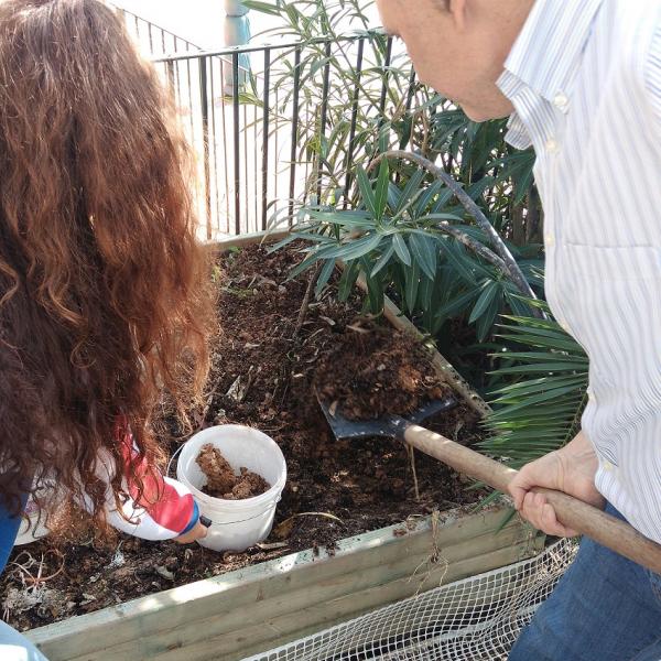 Αφαίρεση παλιού χώματος από τη ζαρντινιέρα