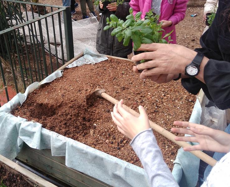 Γέμισμα ζαρντινιέρας με νέο χώμα και φύτευση αρωματικών φυτών