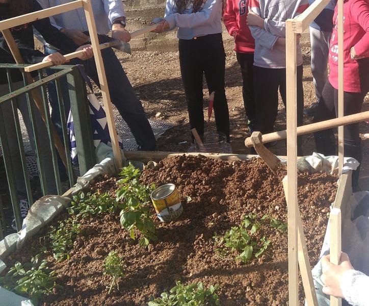 Μετατροπή ζαρντινιέρας σε θερμοκήπιο