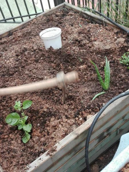 Άνοιγμα τρύπας για τα φυτά