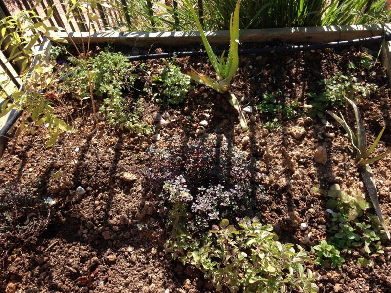 Ο κήπος μετά από κάποιο διάστημα