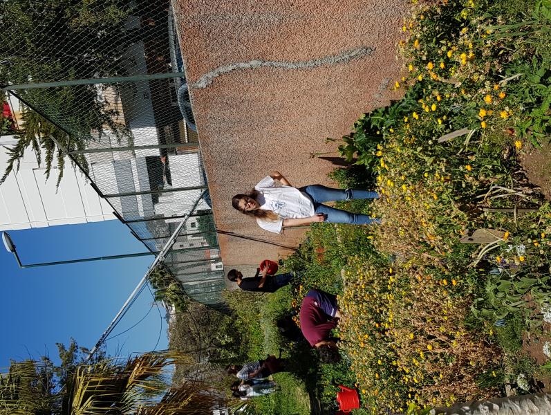 Jardim