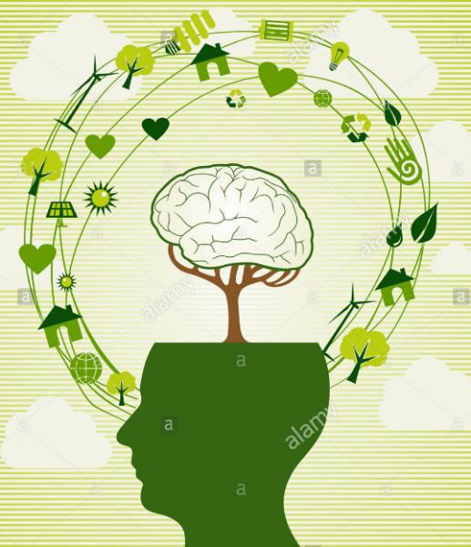 INTELIGENCIA ENERGETICA