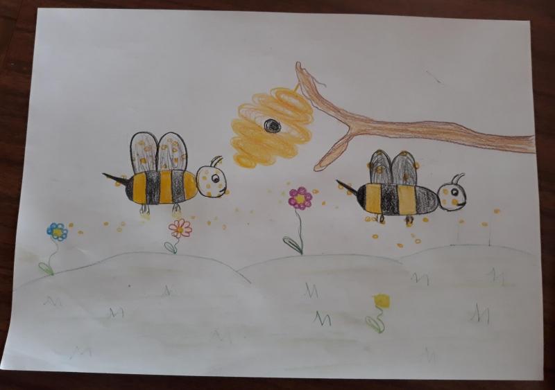 Desenho da Bárbara