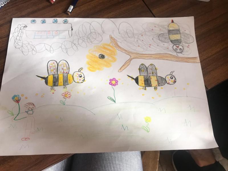 desenho das abelhas _ o depois - Bárbara