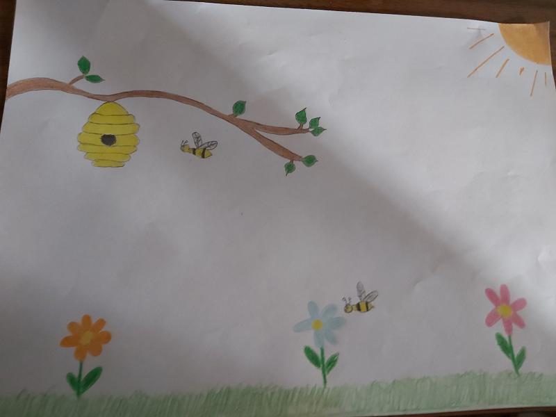 desenho abelhas