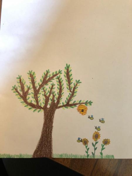 desenho 5