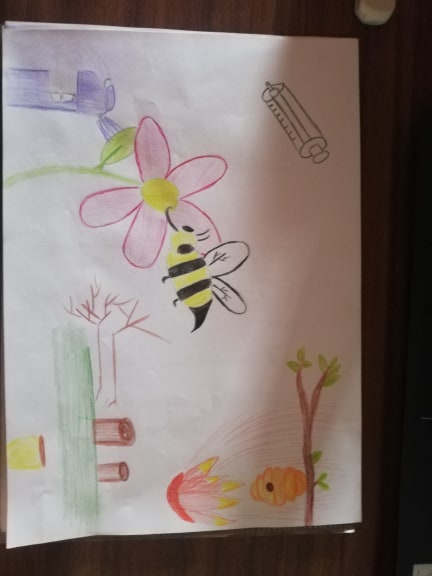 o que damos as abelhas