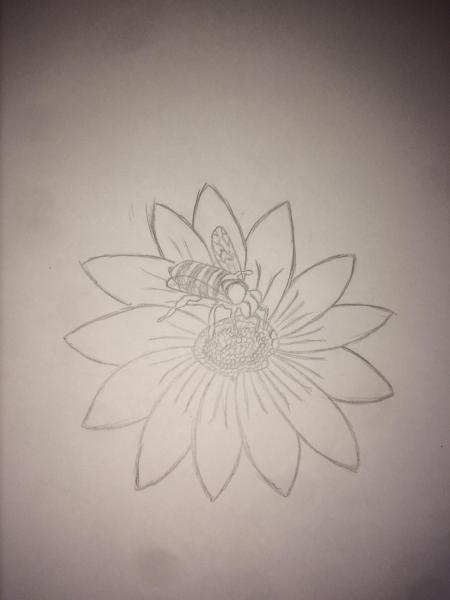 Desenho