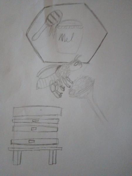 Desenho