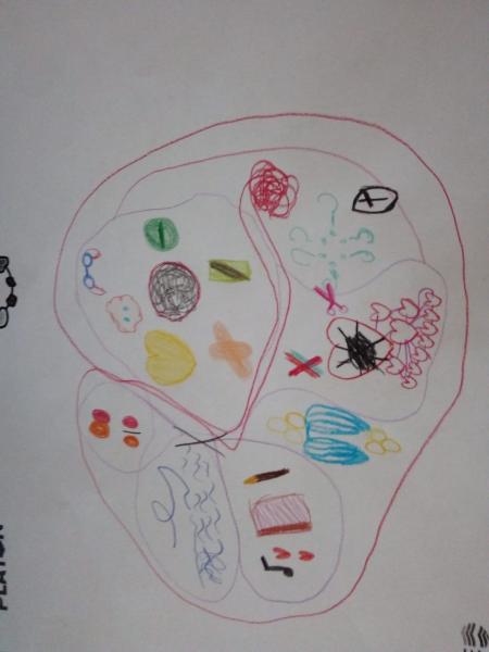 Desenho