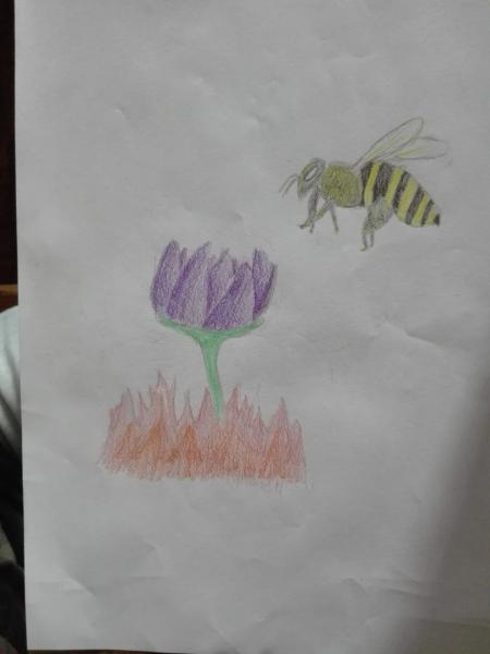 Bee