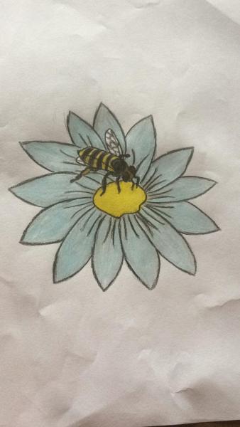 Bees
