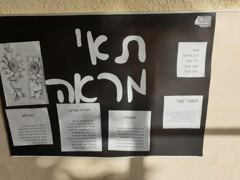 פוסטר תאי מראה