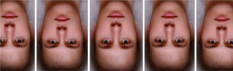 פנים הפוכים 1