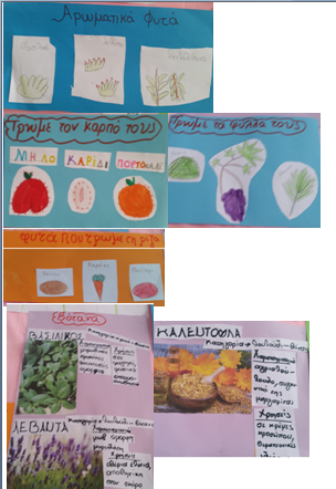 κατηγορίες φυτών1