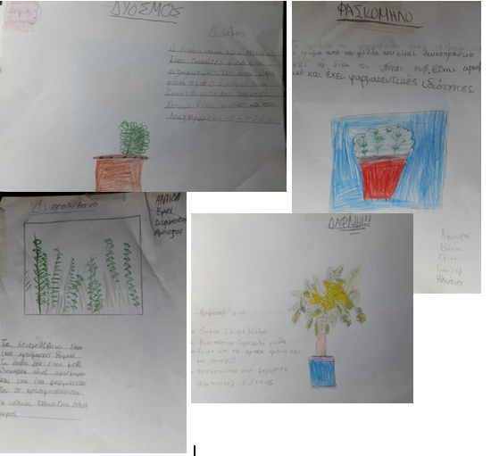 πληροφορίες