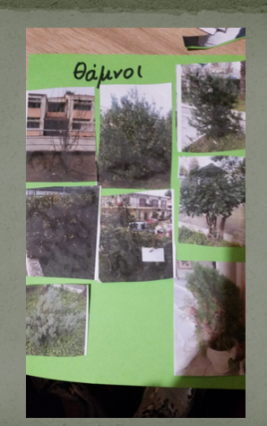θαμνοι