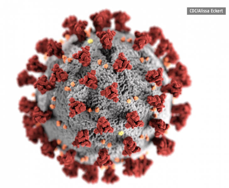 Credit: CdC/Alissa Eckert