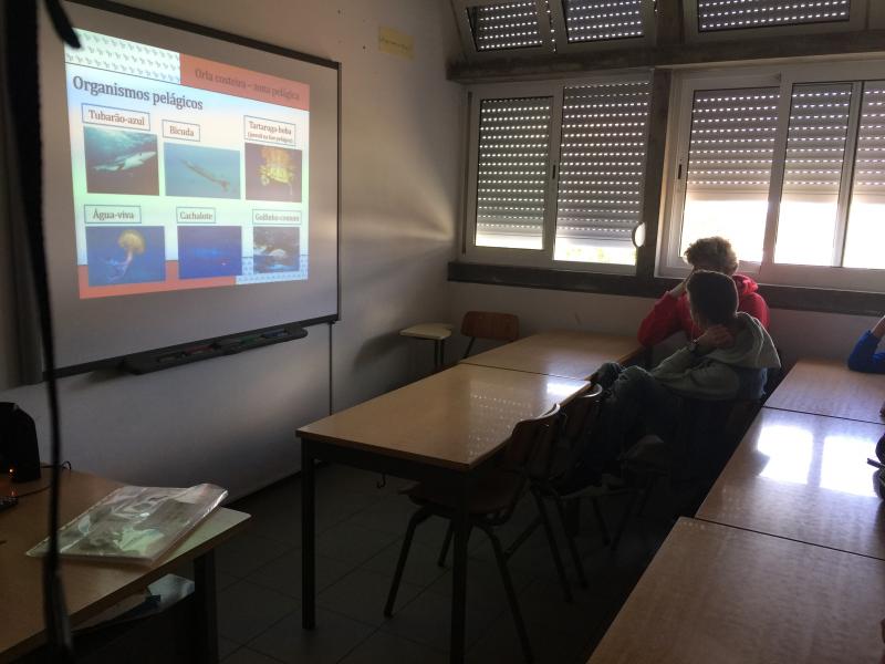 Sensibilização ESL