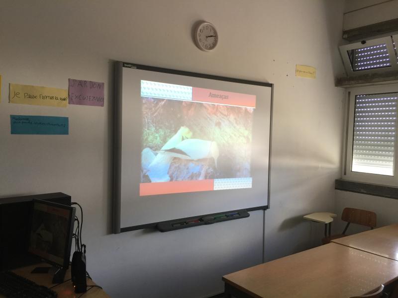 Sensibilização ESL