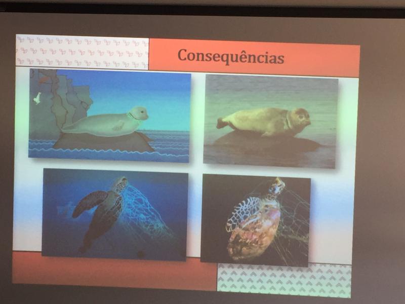 Sensibilização ESL