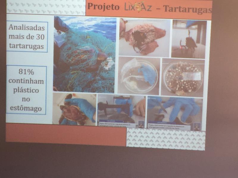 Sensibilização ESL