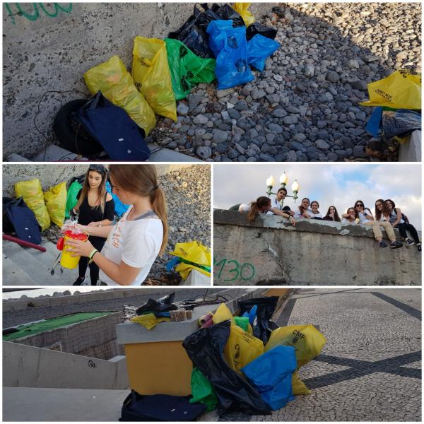 separação dos lixos encontrados