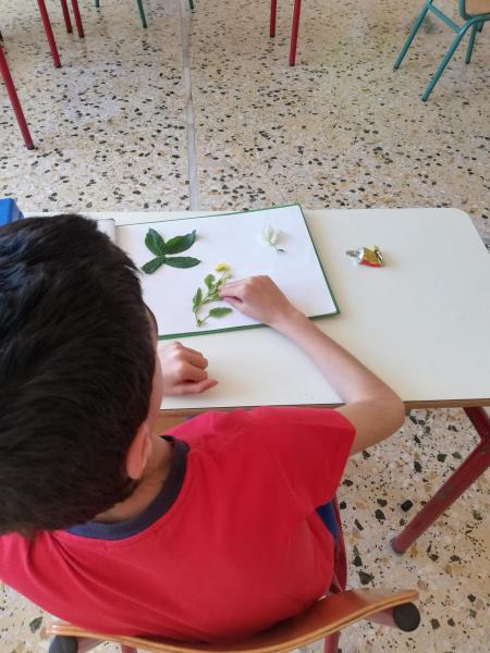 φυτολόγιο 2